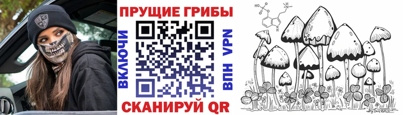 Псилоцибиновые грибы MAGIC MUSHROOMS  Дзержинский 